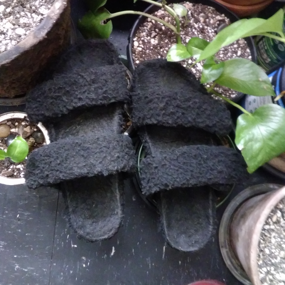 GAP Sherpa Black Sandals